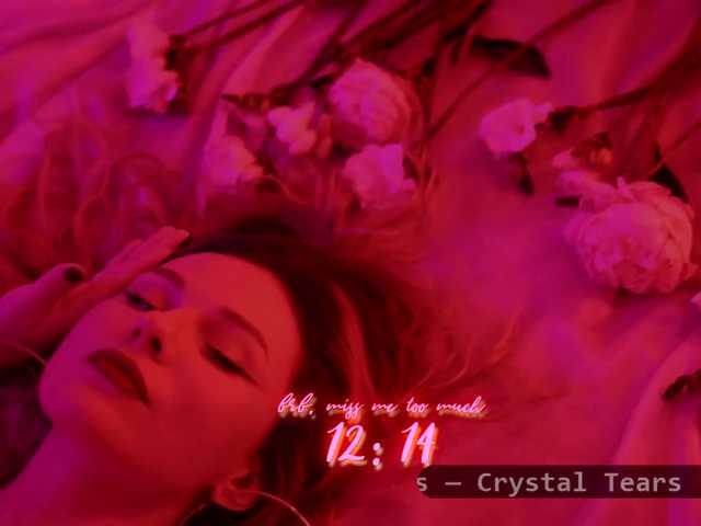 DianaMurr's BongaCams show and profile