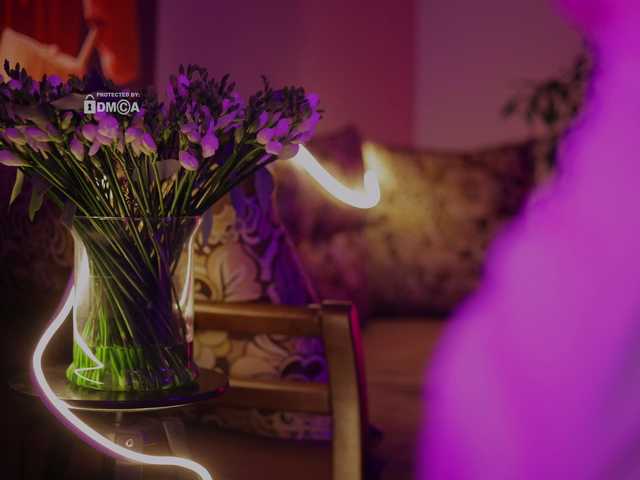 DianaMurr from BongaCams is Freechat