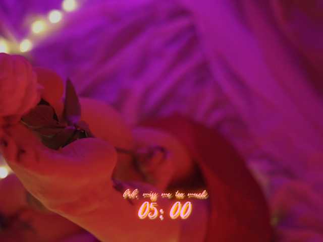 DianaMurr's BongaCams show and profile