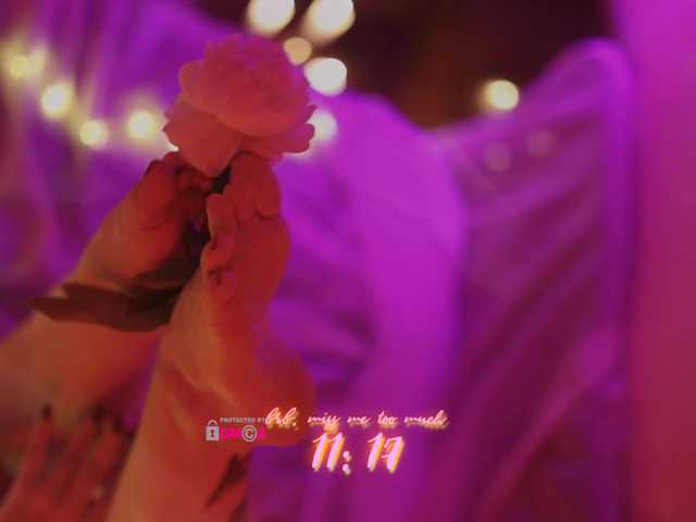 DianaMurr's BongaCams show and profile