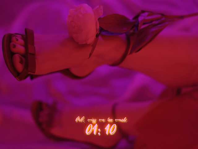 DianaMurr's BongaCams show and profile