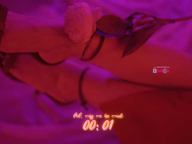 DianaMurr from BongaCams is Freechat