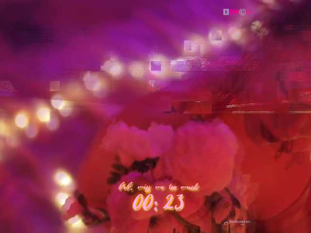 DianaMurr's BongaCams show and profile