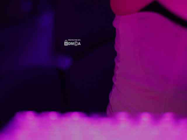 DianaMurr Live Webcam on BongaCams