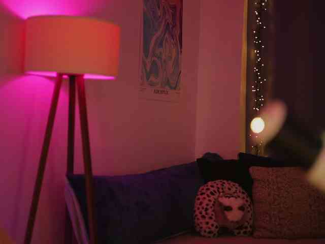 DianaMurr Live Webcam on BongaCams