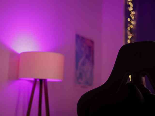 DianaMurr Live Webcam on BongaCams