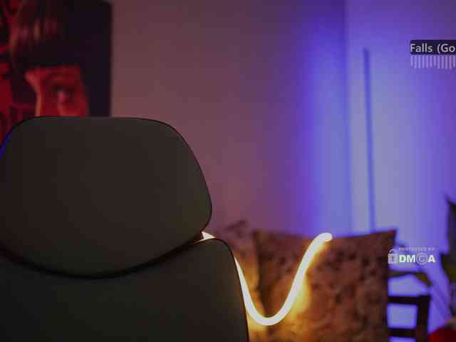 D_i_aM webcam