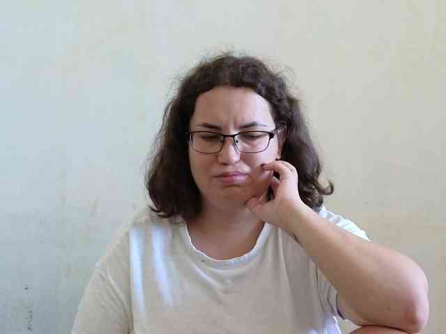 Vlada-08 webcam