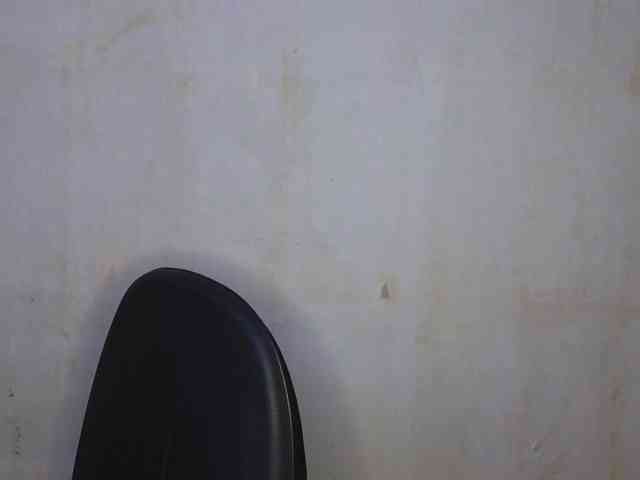 Vlada-08 webcam