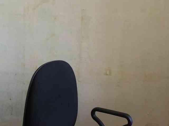 Vlada-08 webcam