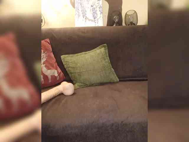 _dirty_talk webcam