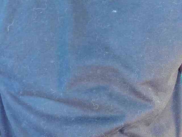 sweet-couple-latin webcam