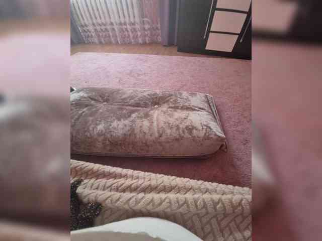 skeiterixxx123 skeiterixxx123