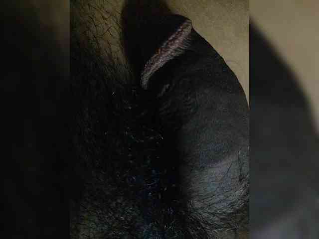 Fanyah webcam