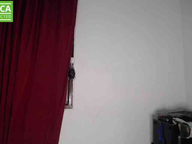 susana254 webcam