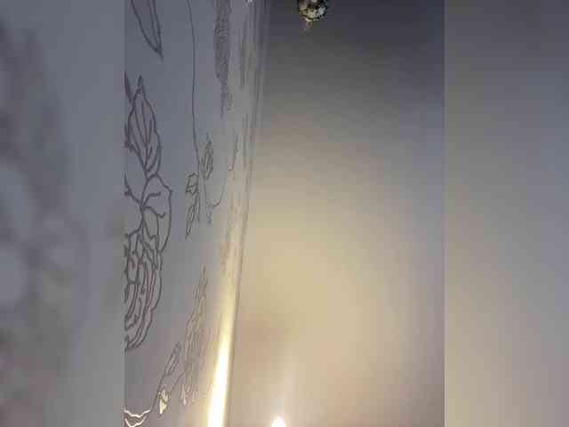 Lu-Mars webcam