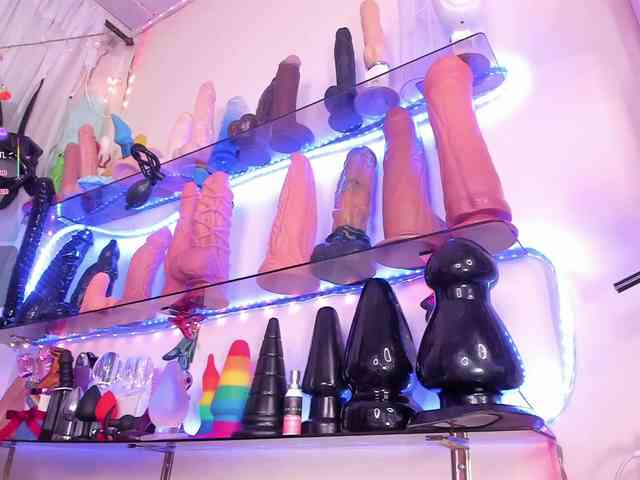 moly2510 webcam