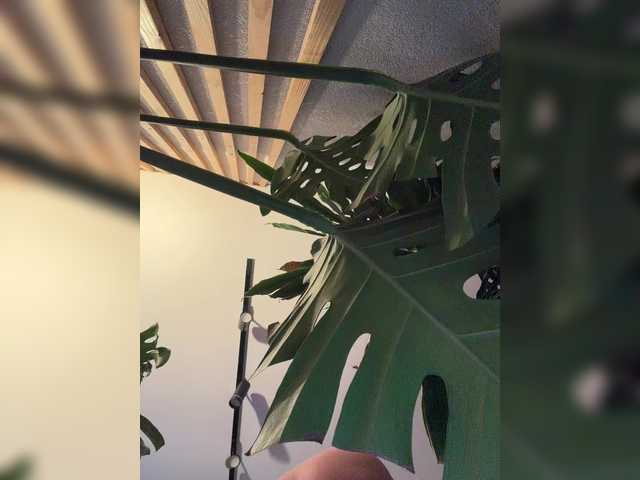 ParisSaintGermain — Lovense works from 2 tokens Tease  - 44 tokens Goosebumps  - 66 tokens High momentum  - 88 tokens Earthquake  - 111 tokens Random vibration  - 50 tokens 