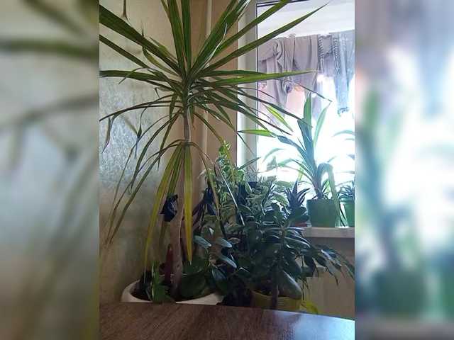 SexyPanda03 — Hello everyone, I'm Masha. Watch my videos in my profile. I have Lovens from 1 tk, my favorite vibration is random 100 tk.On squirt and fuck pussy dildo @total -- countdown: @sofar collected, @remain left until the show!