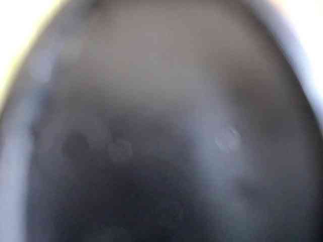 Sweet_Symphony webcam