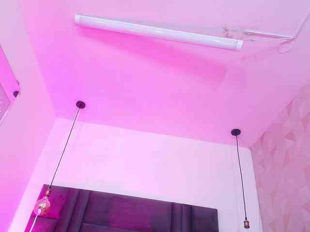 Krissbannet webcam