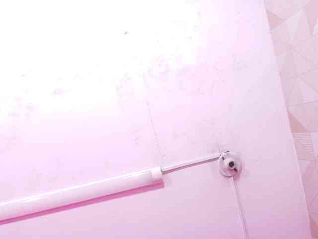 Krissbannet webcam