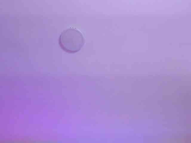 AlanaRouse1 AlanaRouse1