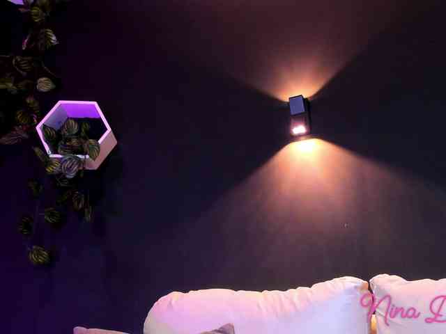 NinaDanger webcam