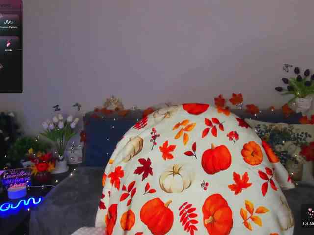 Camilla-One webcam