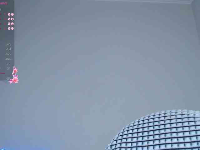Camilla-One webcam