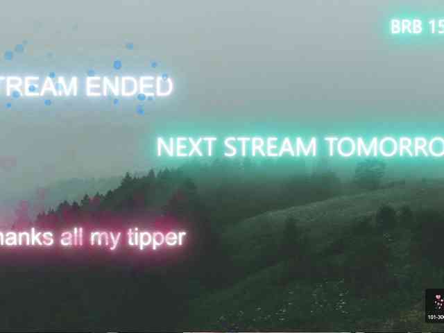 Camilla-One webcam