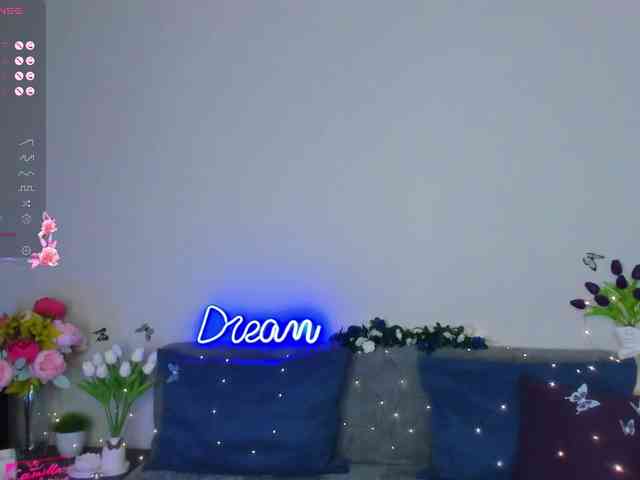 Camilla-One webcam
