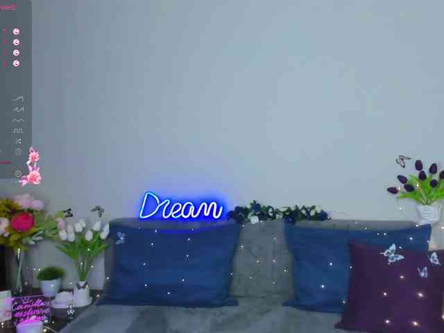 Camilla-One webcam
