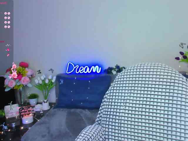 Camilla-One webcam