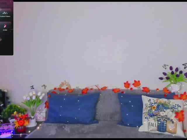 Camilla-One webcam