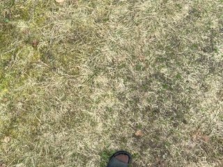 Ekaterina2221 Porn Show