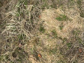 Ekaterina2221 Porn Show