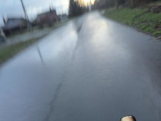 Ekaterina2221 Porn Show