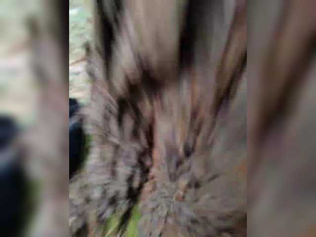  aniram2221 chat room