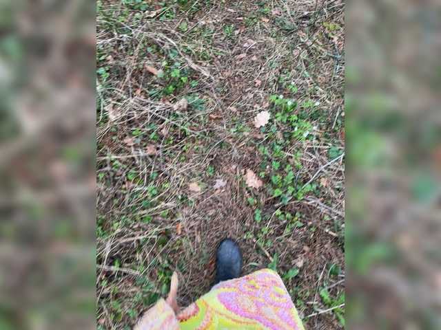  aniram2221 chat room