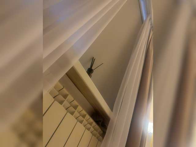 aniram2221's BongaCams show and profile