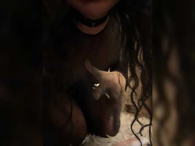 aniram2221's BongaCams show and profile