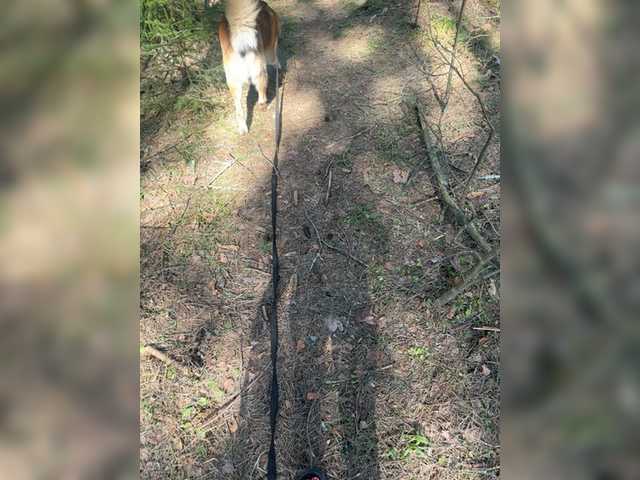 aniram2221's BongaCams profile