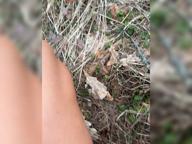 aniram2221's BongaCams show and profile