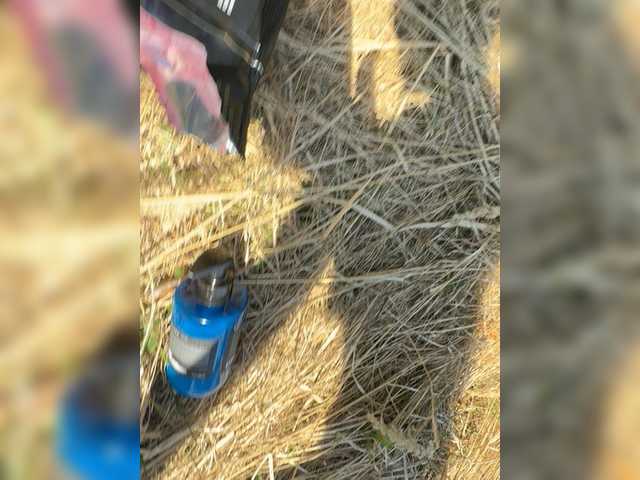 видео aniram2221