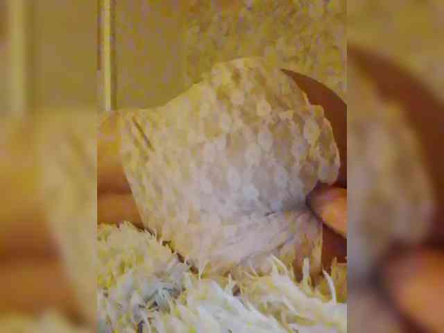 Ekaterina2221 webcam