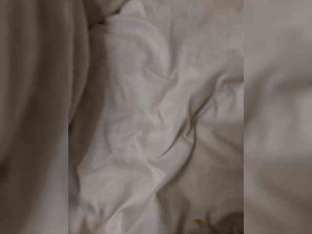 amateur pornstar online Aniram2221