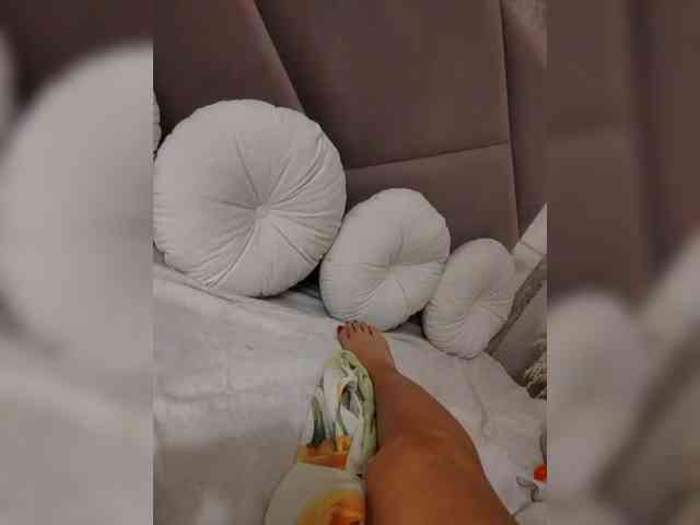 aniram2221 aniram2221