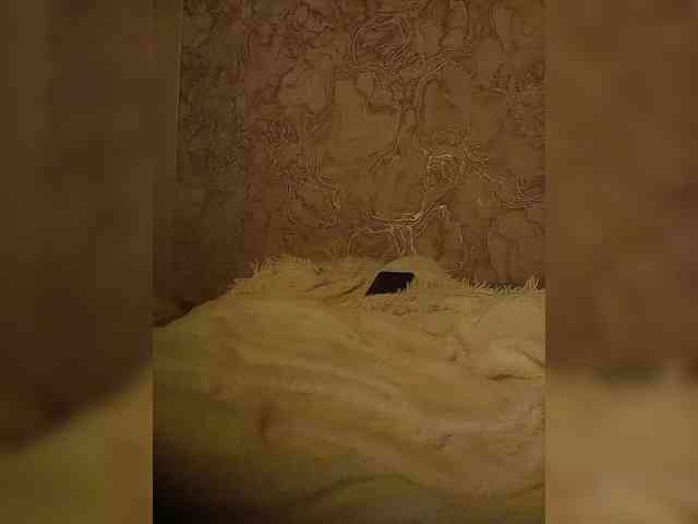 Ekaterina2221 webcam