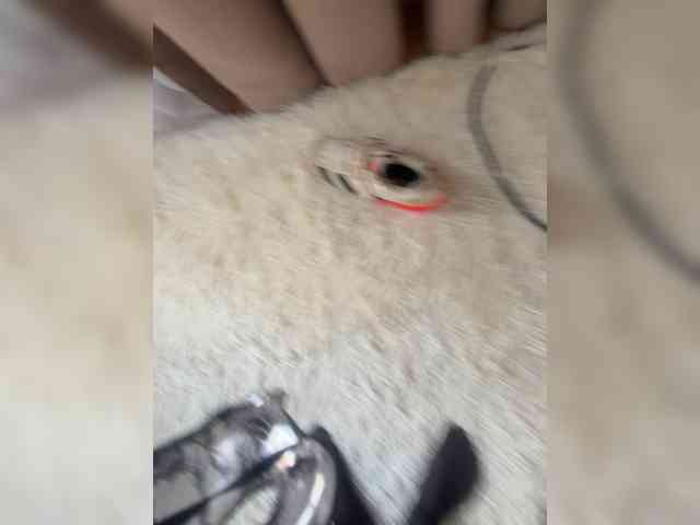 Ekaterina2221 webcam